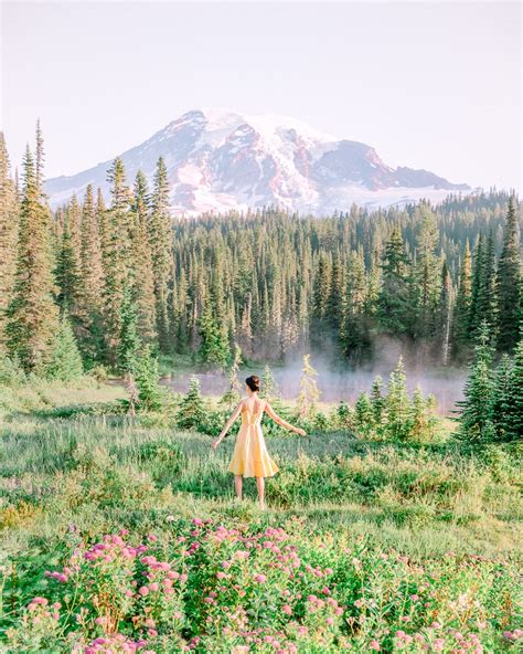 Spectacular Wildflowers at Mount Rainier National Park