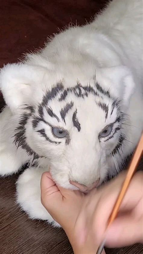 Drawing stripes on a tiger is one of my favorite moments : r/artstore