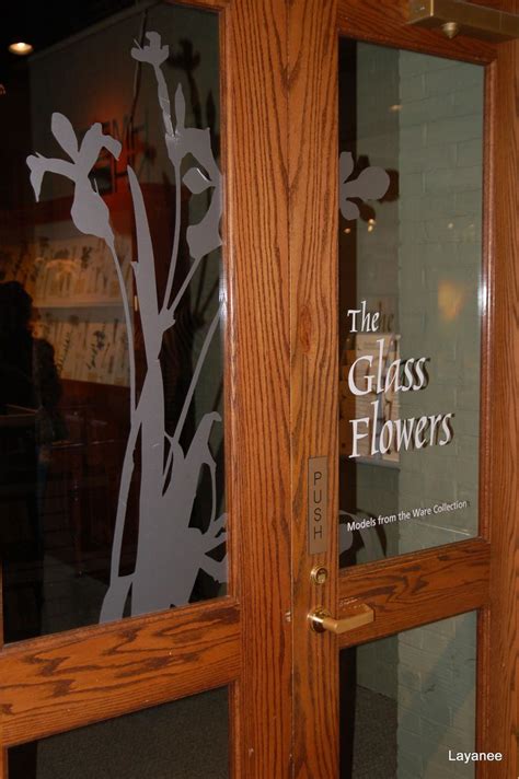 The Glass Flower Exhibit - Harvard Museum of Natural History | Glass flowers, Glass, Natural history