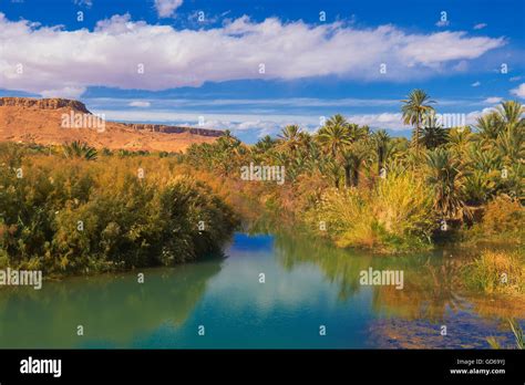 Tafilalet Oasis, Tafilalt Oasis, Ziz River, Gorges du Ziz, Ziz Valley, Ziz Gorges, Tafilalet ...