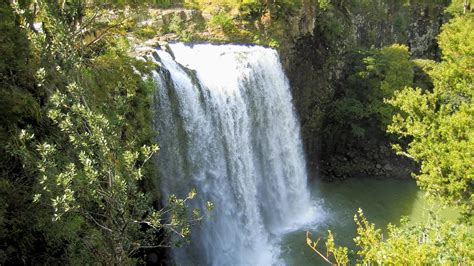 Whangarei Falls - Corel Discovery Center