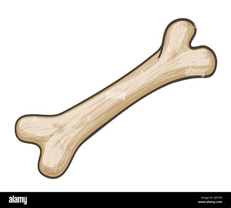 cartoon dog bone on white Stock Photo - Alamy