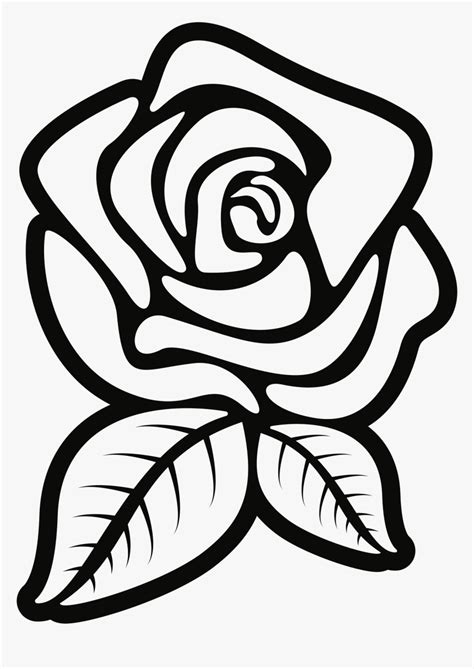 Rose Outline Png - Rose Black And White Flower Clipart, Transparent Png ...