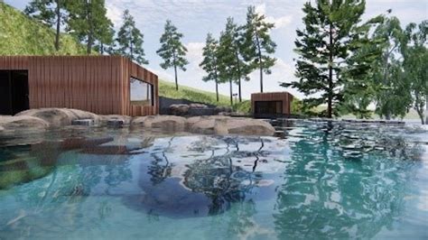 Forest Lagoon, Iceland’s latest luxury geothermal to open this month in ...