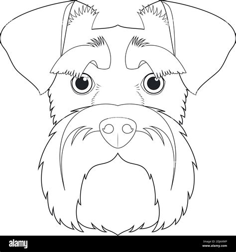 Schnauzer icon vector vectors hi-res stock photography and images - Alamy