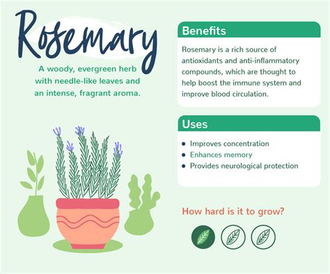 Plants with benefits | Love The Garden