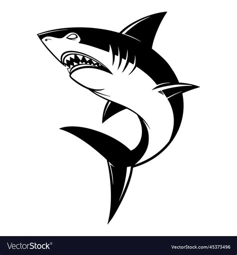 Shark logo icon on white background Royalty Free Vector