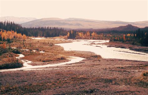 The Stampede Trail nr. Fairbanks, Alaska, 2015 [4320 x 2790] [OC] : r/EarthPorn