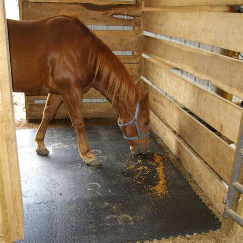 Portable Horse Stall Mats showing horse in stall. Horse Stall Mats Flooring, Stall Mats Horse ...