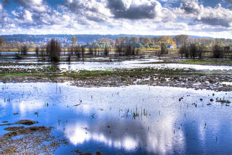 Nisqually Wildlife Refuge P13 Photograph by David Patterson - Fine Art America