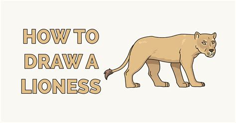 How to Draw a Lioness - Really Easy Drawing Tutorial