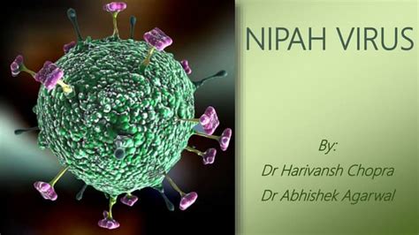 Nipah virus : New emerging disease with high mortality | PPT