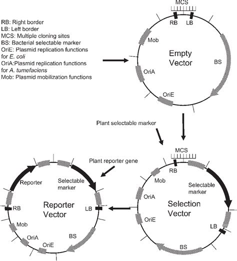 Figure 1 from Binary Vectors and Super-binary Vectors 15 15 | Semantic ...