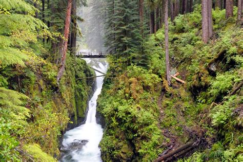 Waterfalls in Olympic National Park and the Olympic Peninsula