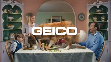 Are Geico’s online ads too funny to click past? - TODAY.com