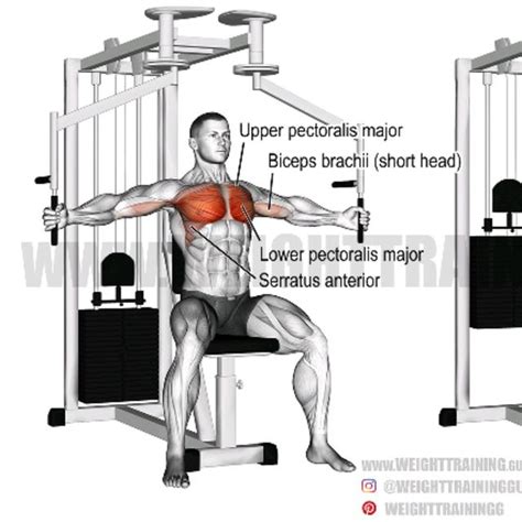 Machine Chest Fly by Thomas Mitchell - Exercise How-to - Skimble