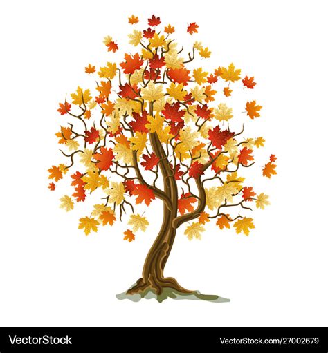 Autumn tree Royalty Free Vector Image - VectorStock