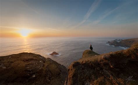 Wildlife Photography Guide to the Shetland Islands - Nature TTL