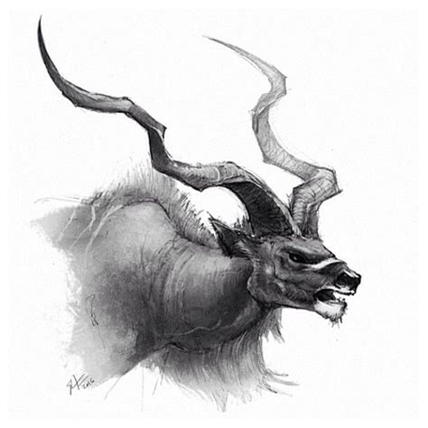 An antelope dude for tonight's drawing. #antelope #art #animals # ...