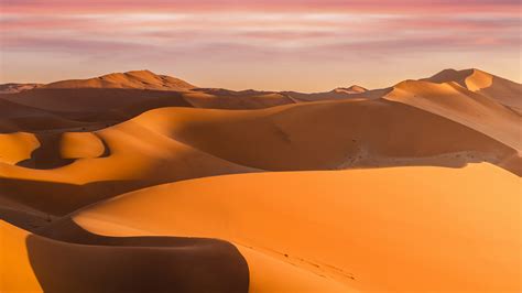 Desert sand dunes in Sossusvlei at sunset, Namib-Naukluft National Park ...