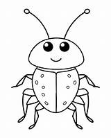 Premium Vector  Insect And Bug coloring Page For Kids sketch template