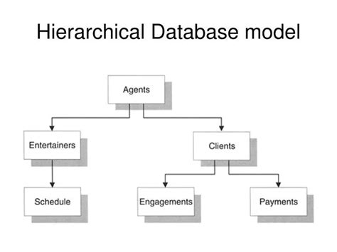 PPT - Hierarchical Database model PowerPoint Presentation, free ...