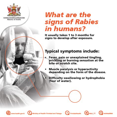 Signs of Rabies in Humans | Ministry of Agriculture, Land and Fisheries