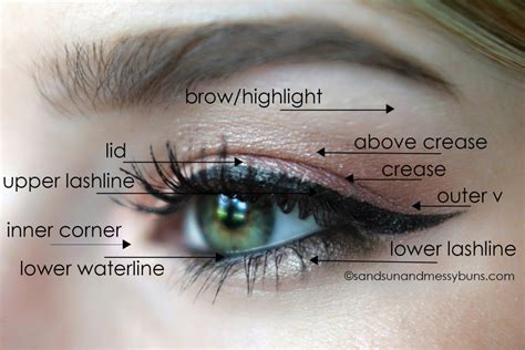 Makeup 101: Eyeshadow Diagram for Makeup Newbies | Sand Sun & Messy Buns