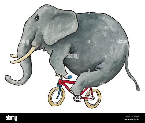 Bicycle africa animal hi-res stock photography and images - Alamy