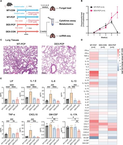 Integrated multi-omics analyses reveal the altered transcriptomic characteristics of pulmonary ...