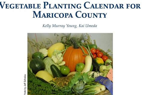 Arizona Vegetable Planting Calendar