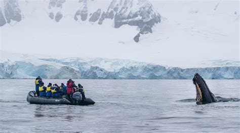 Late Season Antarctica: Why I like Antarctic trips in March - Aurora ...