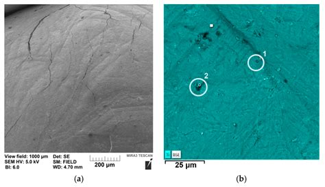 ChemEngineering | Free Full-Text | Increasing the Adherence of Metallic Copper to the Surface of ...