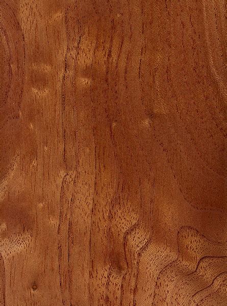 Australian Red Cedar | The Wood Database (Hardwood)