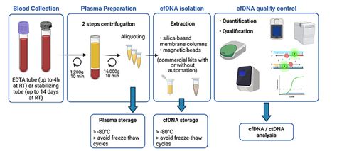 Magnetic Particles for Cell-Free DNA Extraction - CD Bioparticles