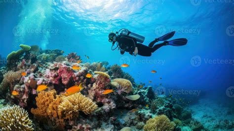 Scuba diver with coral reef 26658423 Stock Photo at Vecteezy