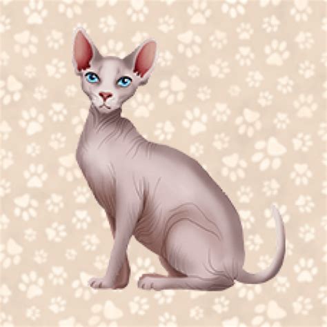 2048 Cat Breeds | 2048 Online Game