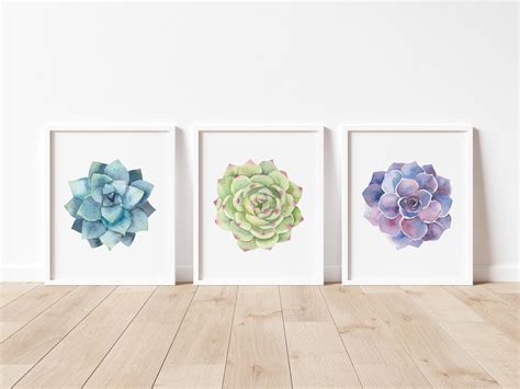 Succulents Wall Art Set of 3 Instant Download Printables - Etsy