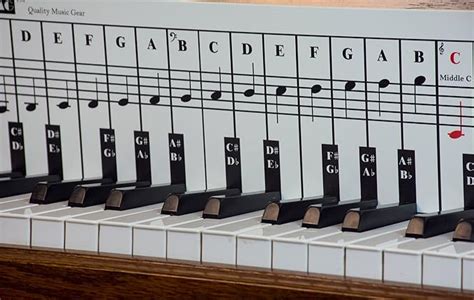 Piano and Keyboard Note Chart, Use Behind the Keys, Made with Foam PVC Sheet, Ideal Visual Tool ...