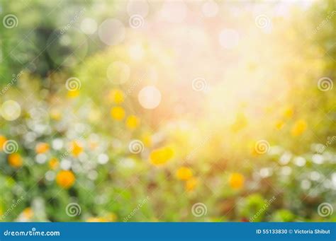 Flowers Garden or Park , Blurred Nature Background Stock Photo - Image of backgrounds, border ...