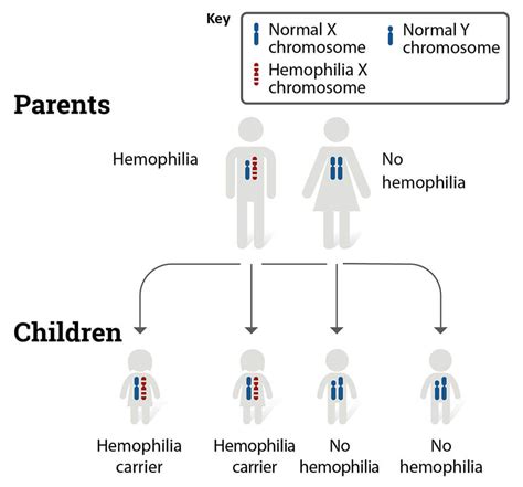 Bleeding Disorders | NHLBI, NIH