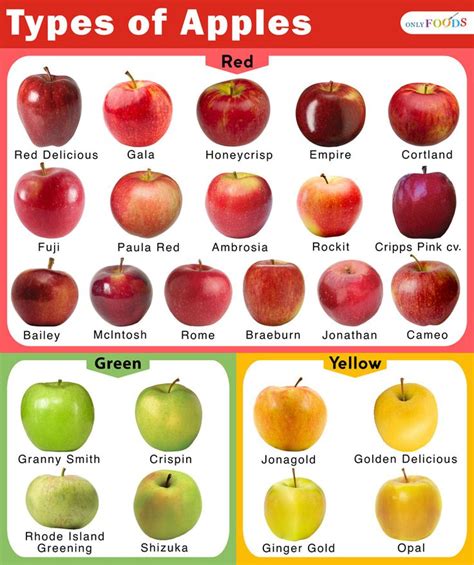 an apple chart with different types of apples