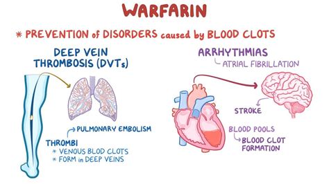 Warfarin Mechanism Of Action Animation