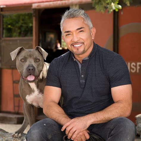 Caesar Milan - dog whisperer :) | Cesar millan, Dog whisperer, Dog ...