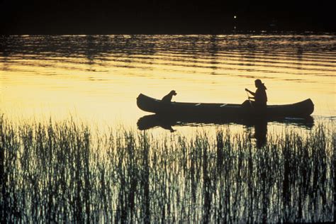 Free picture: canoeing, sunset