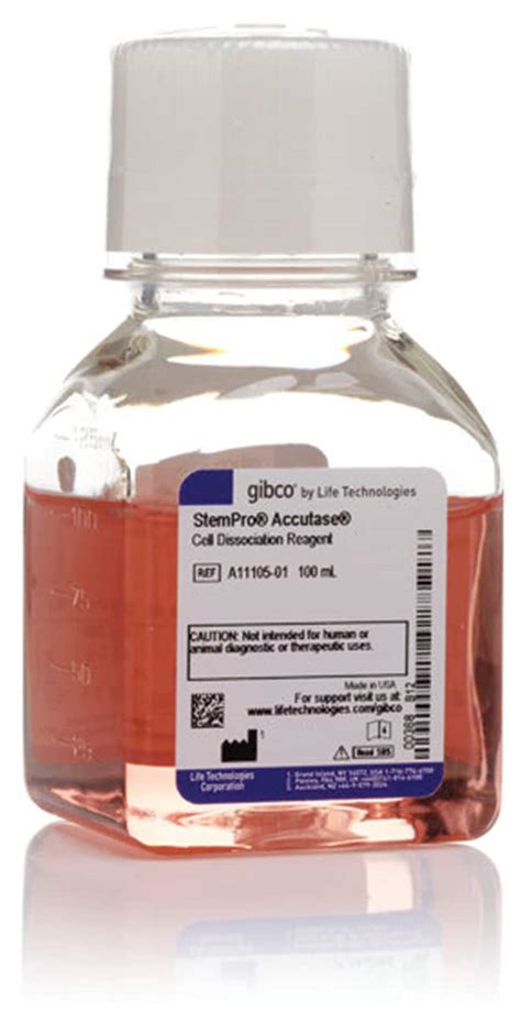 Gibco StemPro Accutase Cell Dissociation Reagent 100mL:Cell Culture ...