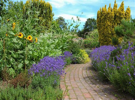 23 Sunflower Garden Ideas You'll Love