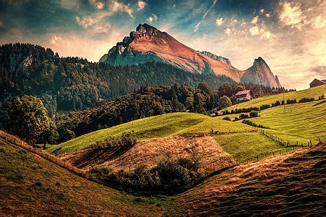 HD wallpaper: Switzerland, cow, nature, landscape | Wallpaper Flare