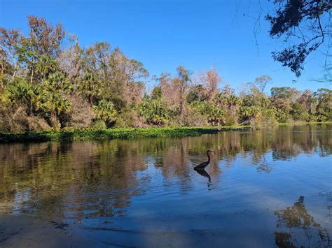 A Kid Friendly Day at Wekiwa Springs State Park Near Orlando - Orlando ...