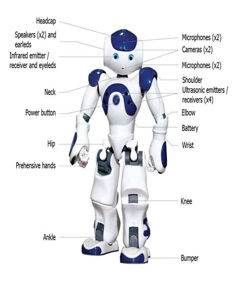 Humanoid robot NAO (Courtesy of SoftBank Robotics) | Download Scientific Diagram